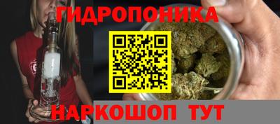 скорость Рузаевка