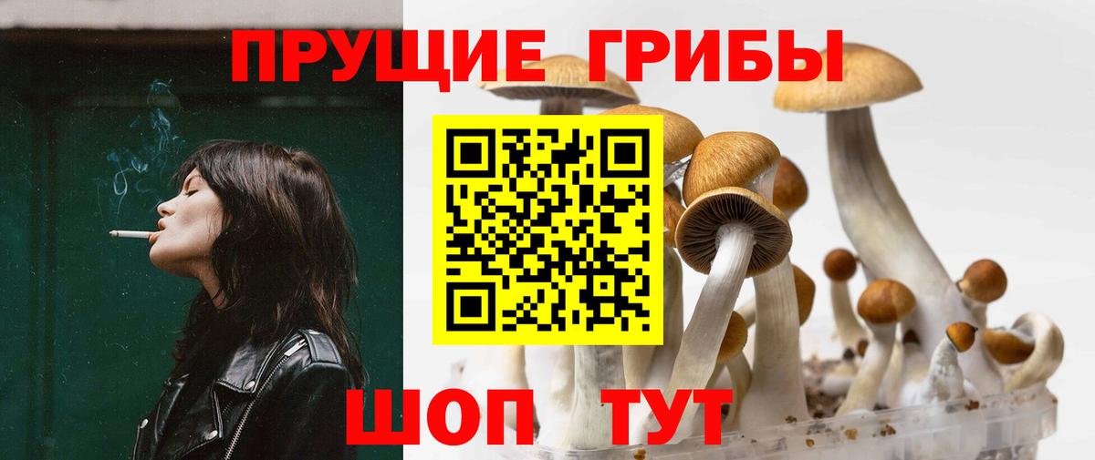 Псилоцибиновые грибы GOLDEN TEACHER  Вход с VPN  Чистополь 