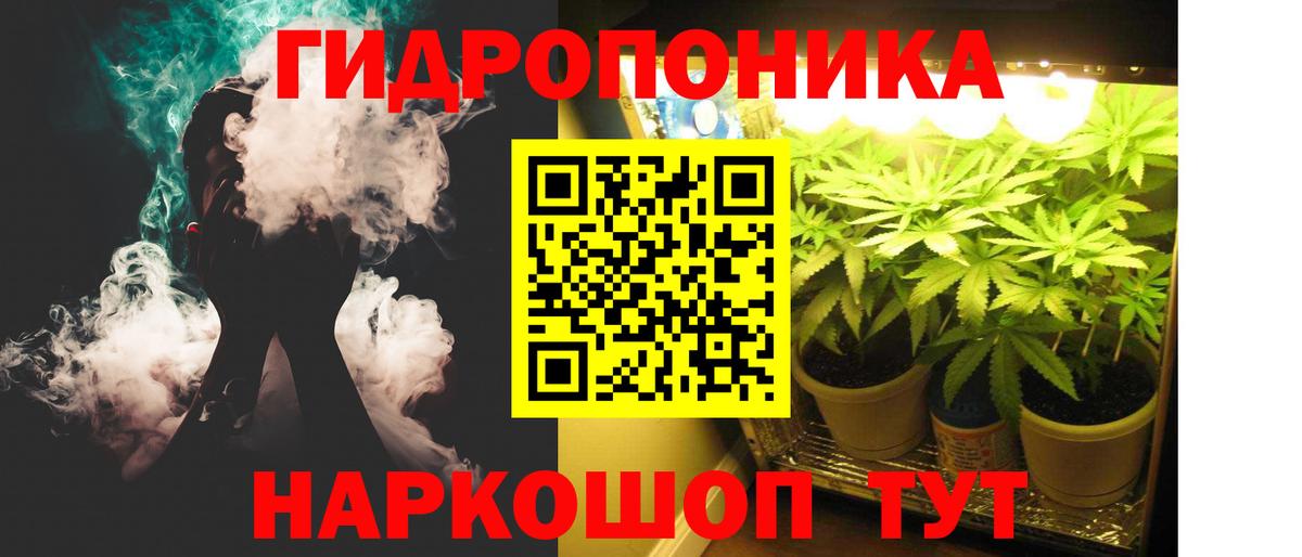 МАРИХУАНА SATIVA & INDICA  Вход с VPN  Канабис семена  Чистополь  Каннабис SATIVA & INDICA 